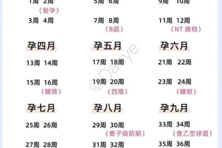 2027年11月生孩子最佳时间表 2027年11月最佳备孕时间计算