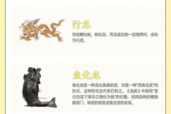 1988年属龙人在2026年运势及运程 1988年属龙人2026年运势5月份运势是什么意思? 1988年属龙人在2026年运势及运程 1988年属龙人2026年运势5月份运势是什么意思?