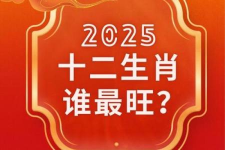 2025年属鸡人9月提车最佳吉日查询及得把眼睛擦亮了