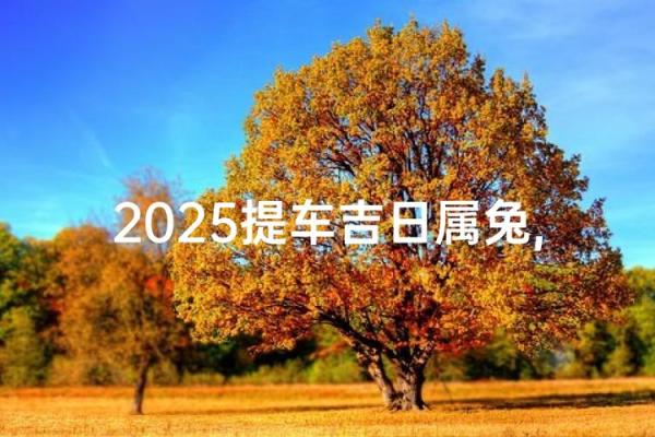 提车的好日子吉日查询2025