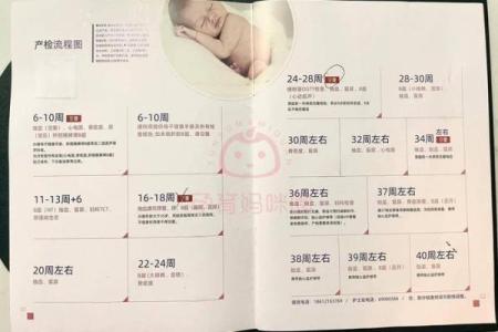 2025年生宝宝选什么日子比较好对母子健康有利