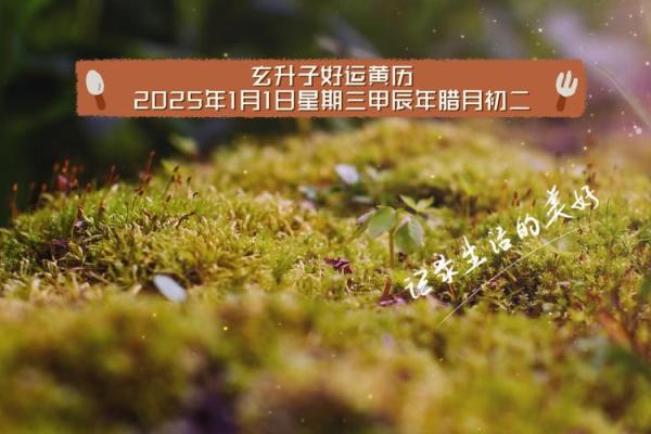 2025年腊月订婚黄道吉日查询及挑选得把眼睛擦亮了